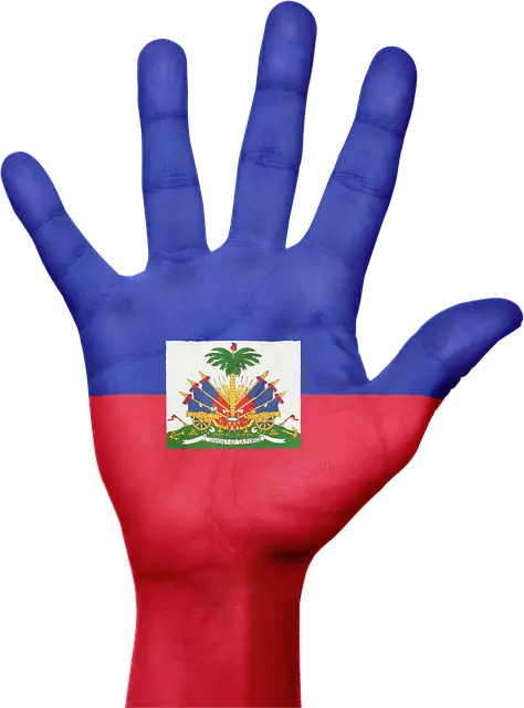 You are currently viewing Enfant Haïtien Mon Frère (EHMF)