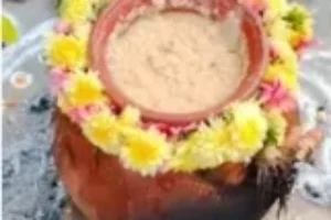 PHEBS célèbre le Pongal (401)